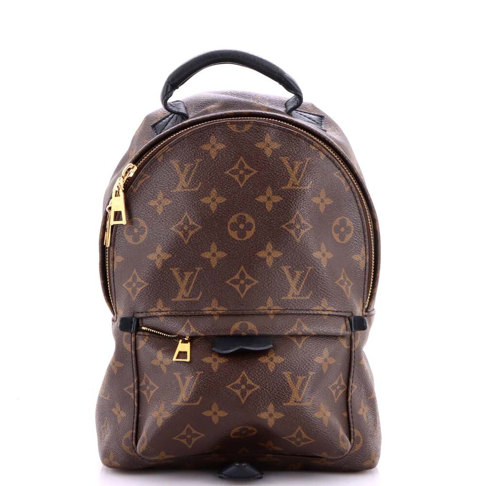 Louis Vuitton Palm Springs Backpack #318392L15B